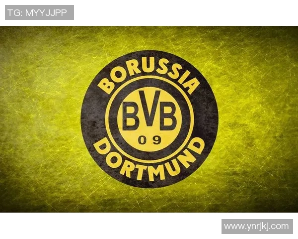 多特蒙德主场迎战费莱堡期待精彩对决与胜利的较量